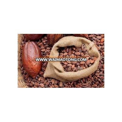 Dried Organic Cocoa Beans Cocoa Beans