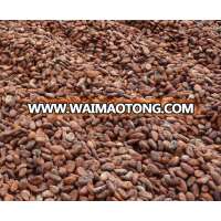 fermented cocoa beans