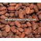 High Grade Cocoa Beans and Cocoa Nibs