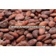 Dried Grade A Cocoa/ Cacao/ Chocolate bean