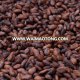 Quality Dried Cocoa Beans